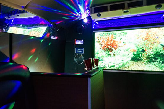 party bus rental Clearwater area